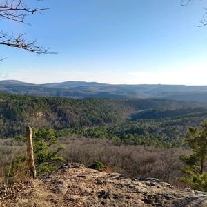 Meet your Posher, Ashlea